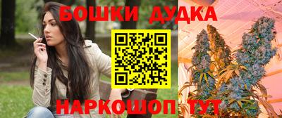 гидра Бузулук