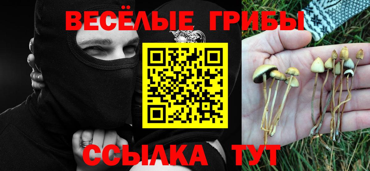 Псилоцибиновые грибы мицелий Малоярославец