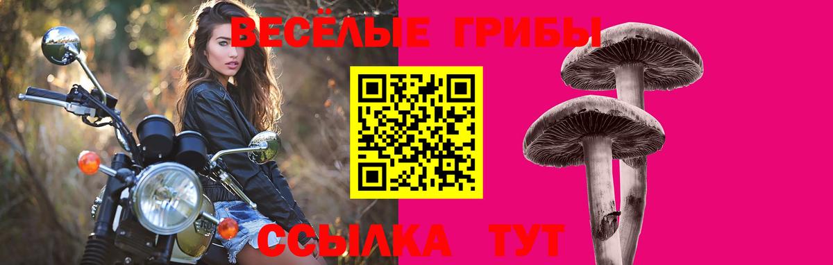 Малоярославец  Галлюциногенные грибы Psilocybine cubensis  Вход с VPN 